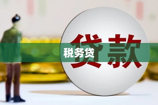 南木林税务贷