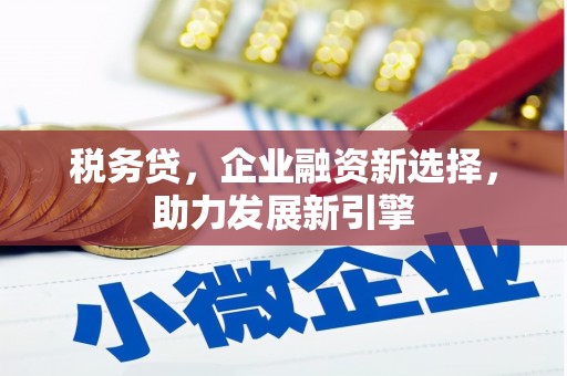 南木林税务贷，企业融资新选择，助力发展新引擎