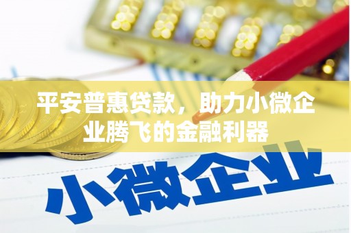 南木林平安普惠贷款，助力小微企业腾飞的金融利器