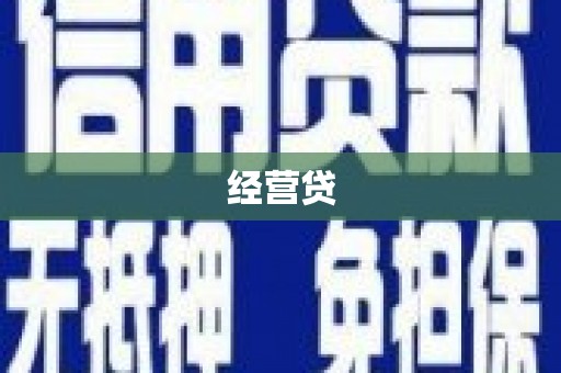 南木林经营贷