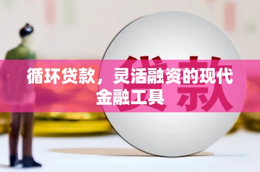 南木林循环贷款，灵活融资的现代金融工具