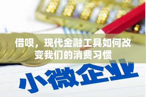 南木林借呗，现代金融工具如何改变我们的消费习惯