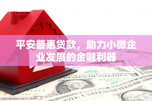 南木林平安普惠贷款，助力小微企业发展的金融利器