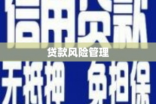 南木林贷款风险管理