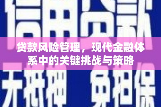 南木林贷款风险管理，现代金融体系中的关键挑战与策略