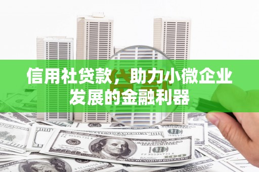 南木林信用社贷款，助力小微企业发展的金融利器
