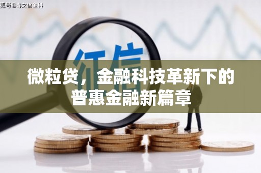 南木林微粒贷，金融科技革新下的普惠金融新篇章