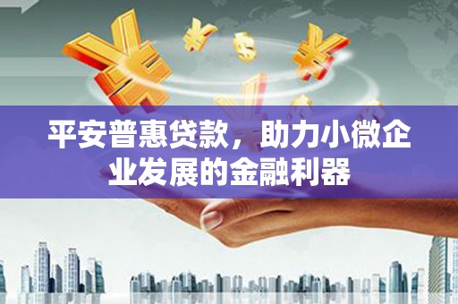 南木林平安普惠贷款，助力小微企业发展的金融利器