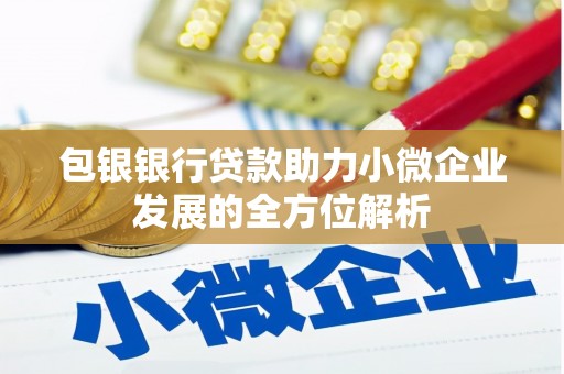 南木林包银银行贷款助力小微企业发展的全方位解析