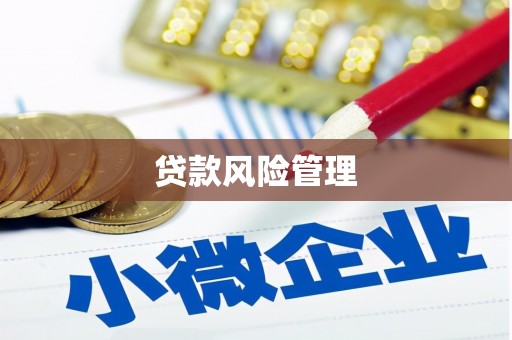 南木林贷款风险管理