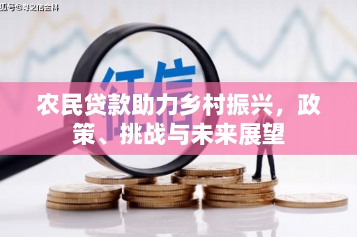 南木林农民贷款助力乡村振兴，政策、挑战与未来展望