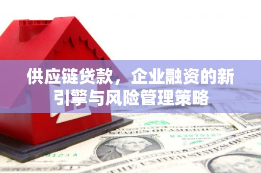 南木林供应链贷款，企业融资的新引擎与风险管理策略