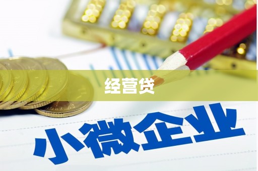 南木林经营贷