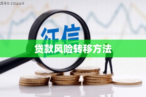 南木林贷款风险转移方法