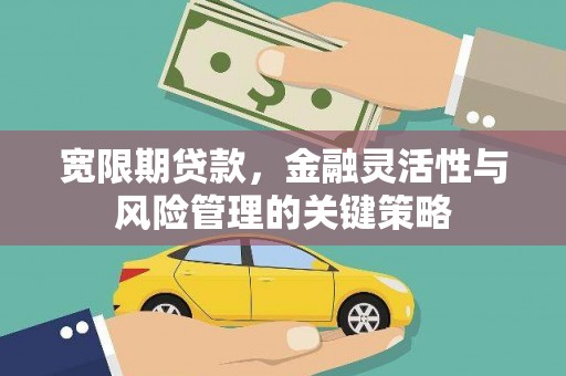 南木林宽限期贷款，金融灵活性与风险管理的关键策略