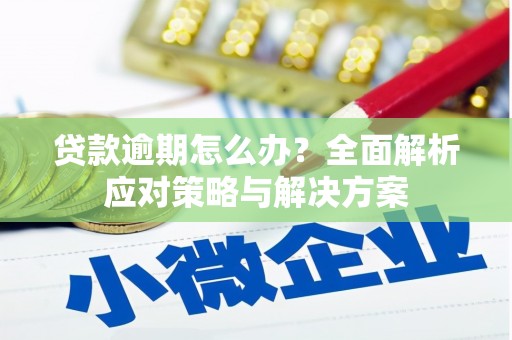南木林贷款逾期怎么办？全面解析应对策略与解决方案