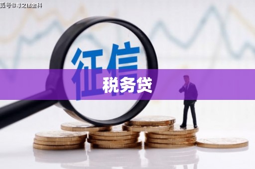 南木林税务贷