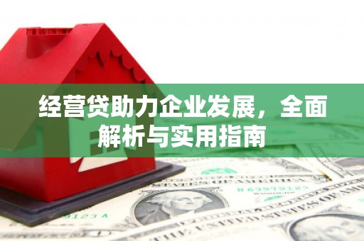 南木林经营贷助力企业发展，全面解析与实用指南