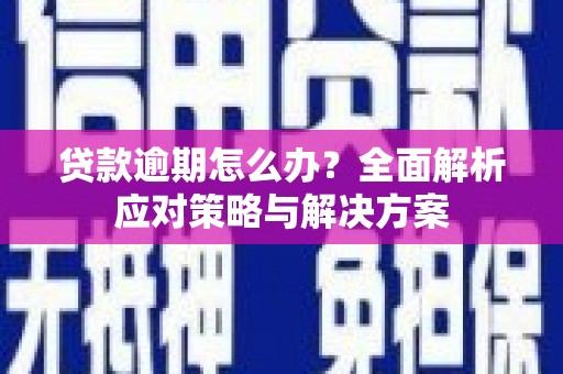 南木林贷款逾期怎么办？全面解析应对策略与解决方案
