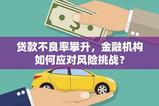 南木林贷款不良率攀升，金融机构如何应对风险挑战？