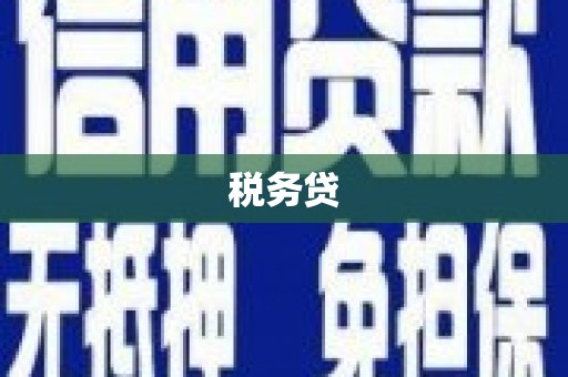南木林税务贷