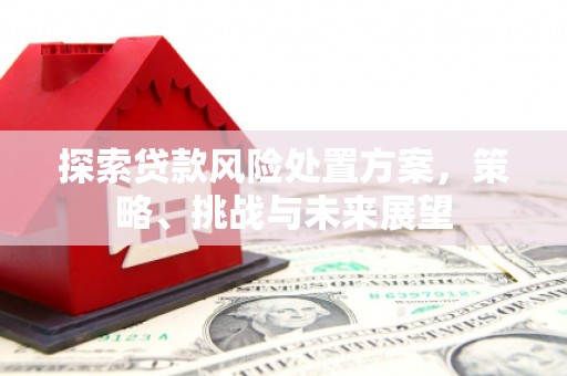 南木林探索贷款风险处置方案，策略、挑战与未来展望