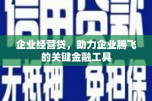 南木林企业经营贷，助力企业腾飞的关键金融工具