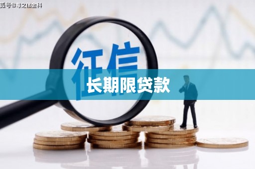 南木林长期限贷款