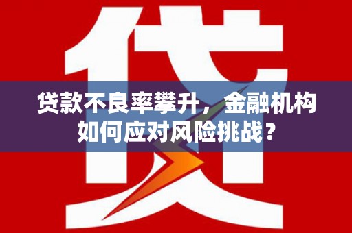 南木林贷款不良率攀升，金融机构如何应对风险挑战？