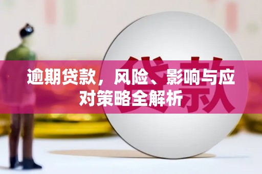 南木林逾期贷款，风险、影响与应对策略全解析