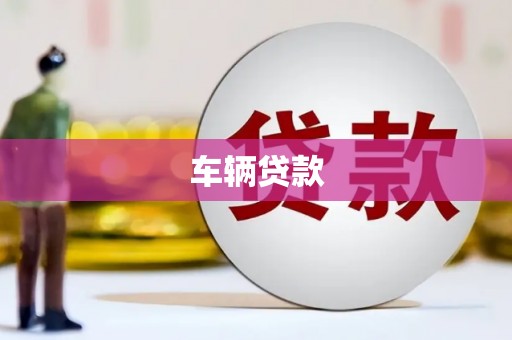 南木林车辆贷款