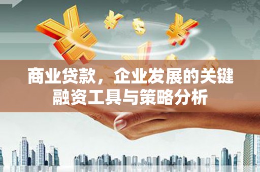 南木林商业贷款，企业发展的关键融资工具与策略分析