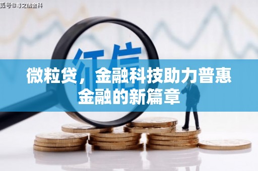 南木林微粒贷，金融科技助力普惠金融的新篇章