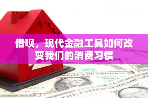 南木林借呗，现代金融工具如何改变我们的消费习惯