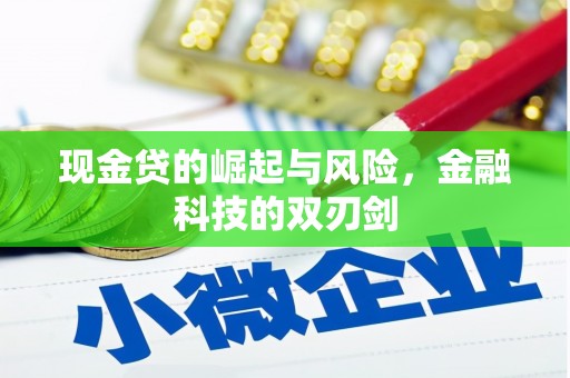 南木林现金贷的崛起与风险，金融科技的双刃剑