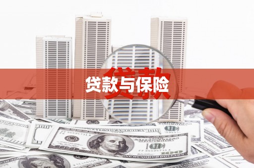 南木林贷款与保险