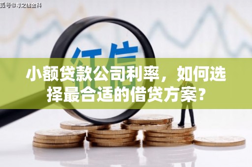 南木林小额贷款公司利率，如何选择最合适的借贷方案？