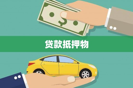 南木林贷款抵押物
