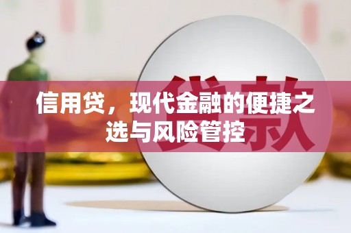 南木林信用贷，现代金融的便捷之选与风险管控