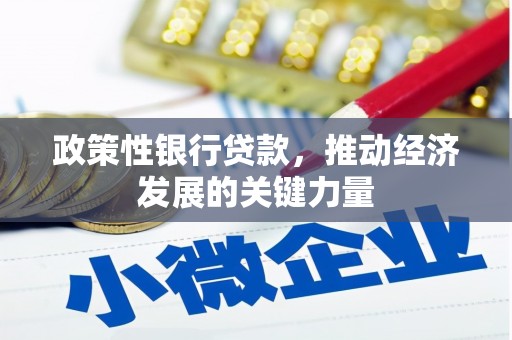 南木林政策性银行贷款，推动经济发展的关键力量