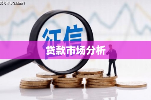 南木林贷款市场分析