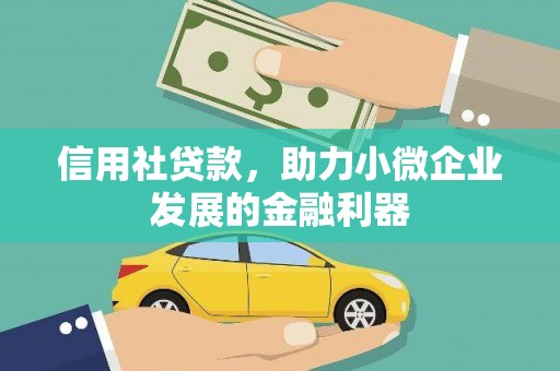 南木林信用社贷款，助力小微企业发展的金融利器