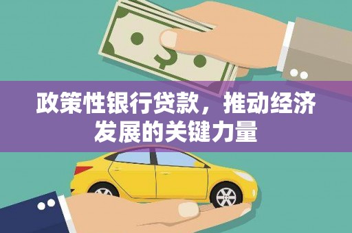 南木林政策性银行贷款，推动经济发展的关键力量