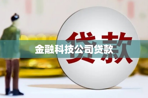 南木林金融科技公司贷款