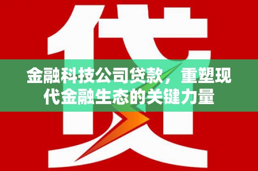 南木林金融科技公司贷款，重塑现代金融生态的关键力量