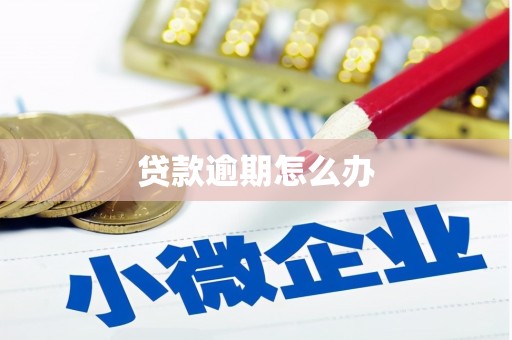 南木林贷款逾期怎么办