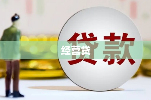 南木林经营贷