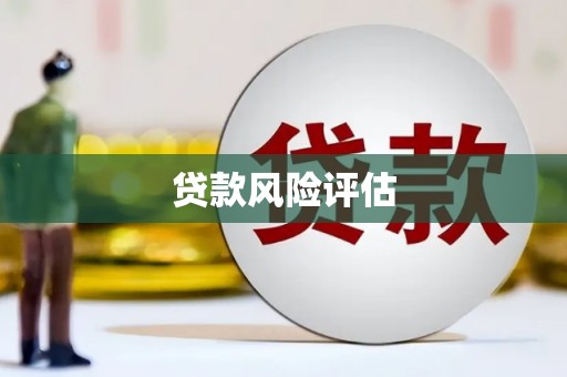 南木林贷款风险评估