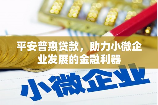 南木林平安普惠贷款，助力小微企业发展的金融利器