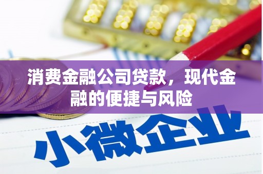 南木林消费金融公司贷款，现代金融的便捷与风险